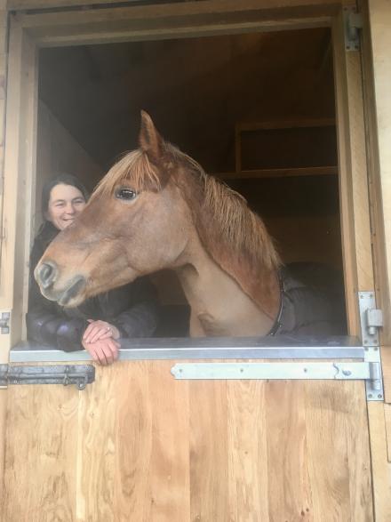 horse, stable, door oak 